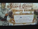 【MLBトレカ】2014 TOPPS Allen & Ginter 2BOX開封