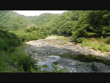 動画テスト