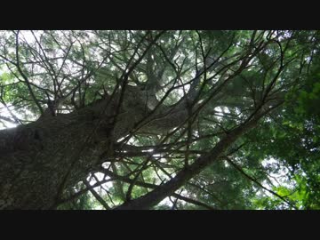 【旅物語】　バイクで広島の秘境に行ってみた　前篇