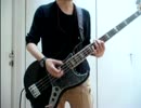 Nothing's Carved In Stone PUPA bass cover .wmv