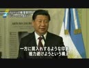 旅客機撃墜 「中国は肩入れ避ける」