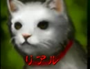 【コラボ実況】目が覚めたら・・・part2 【怪封の廃墟】
