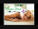 Day Spa fremont -- Double owl spa.flv