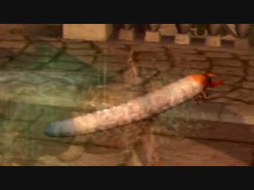 【ダークソウル】レベル１で八周目攻略part13【実況】