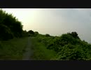 多摩川を歩くだけ。