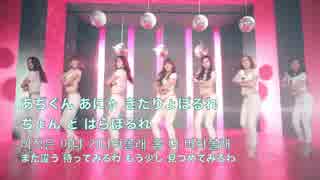 Apink／Hush かなるび