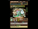 【パズドラ】ノア降臨 超地獄級ノーコン【光パール】