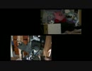 アオハライドOP 「世界は恋に落ちている」弾いて叩いてみた