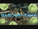 [Skyrim]キャベツしか食べてはいけないスカイリムpart2[ゆっくり実況]