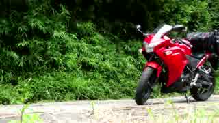 【CBR250R】赤色バイクで朱く照らされる稲荷を見に行った　～伏見稲荷～