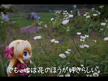 ニート、旅をする【29日目】