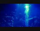DEEP BLUE