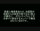 【日本人差別】国連人権委員会による日本人差別に抗議します.wmv