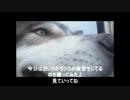 ダンエボ頑張ってみた　NO,0  「大月日記番外編」　