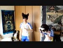 【歌ってみた】嗚呼、素晴らしきニャン生＠Ｂ魂（荒東）【弱ペダ】