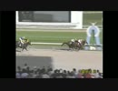 第18回マーキュリーカップ ナイスミーチュー