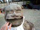 尼崎の神社　66社巡り　vol.4　-こじま幸come-