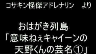 おはがき列島より　「意味ねぇキャイーンの天野くんの芸名　part1」