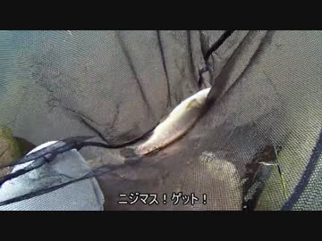 ゆっくり魚釣り研究記録 ファイル3