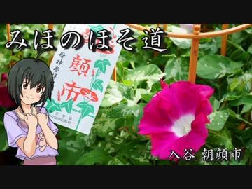 みほのほそ道－入谷朝顔市－