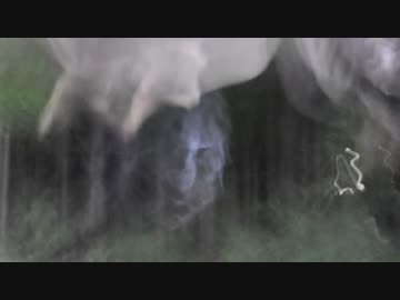 【ちょっと、寄ってく？】心霊探訪記　第２話