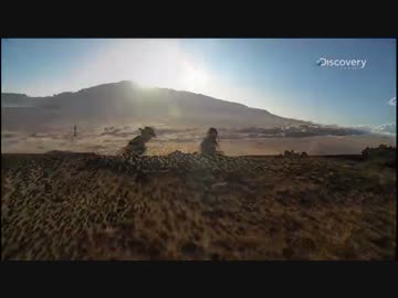 ダクトテープでサバイバル2 1/3