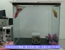Robofishへの無線電力伝送