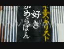 サンキューカメ（ラ）パン.mp4