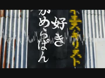 サンキューカメ（ラ）パン.mp4