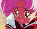 美少女戦士セーラームーンMAD　愛の戦士