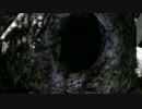【実況】ＤＡＲＫ　ＳＯＵＬＳⅡ解説実況第６回【でもヘタレ】