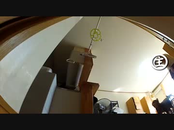 けしからん猫の連続動画