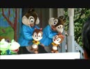 【ディズニー】スーパードゥーパー・ジャンピンタイム【パペのみ】