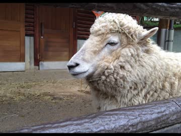 Jの小部屋(金金) #7