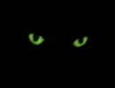賢い猫ベルンカステル83