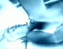 監督の夜明け.wmv