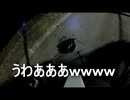 クルマで釣りに行こう♪　part 14　【アカエイ】