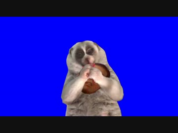 魔獣の本性を現した淫夢くんBB