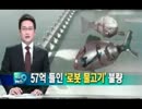 韓国人(南トンスラー)らしい笑える7月の報道とその他まとめw