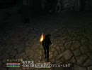 ノートパソコンでOBLIVION 14