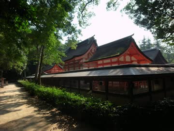 参道をゆく ～伊予一宮 大山祇神社～