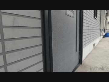 玄関開けたら0秒でにゃんこ♪