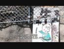 【酷道】国道425号を走破してみた2014版vol.8【車載】