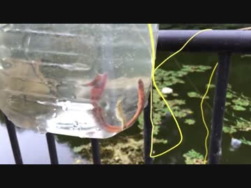 サバゲーフィールドを作ってみよう！その１2