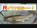 【実写版】川のぬし釣り -始まりの川へ！編-