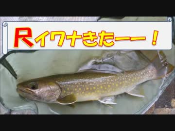 【実写版】川のぬし釣り -始まりの川へ！編-