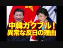 中国韓国日本にビビりすぎワロタｗｗｗ