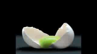 探索者は 全てお見通しだ クトゥルフ神話trpg 阿迦奢の館 第五話 ニコニコ動画