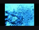 【NNI】splash 【electro】