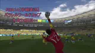 FIFA14【字幕実況】　パラレルワールドカップ　～大会24日目～